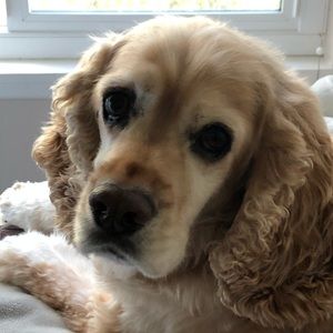 Meet your Posher, Kimberley